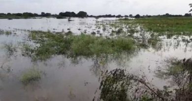 शेतकऱ्याच्या व्यथा – सरकारच्या कानावर कधी?